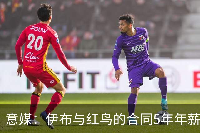 意媒：伊布与红鸟的合同5年年薪100万欧，职责除了竞技还涉及商业